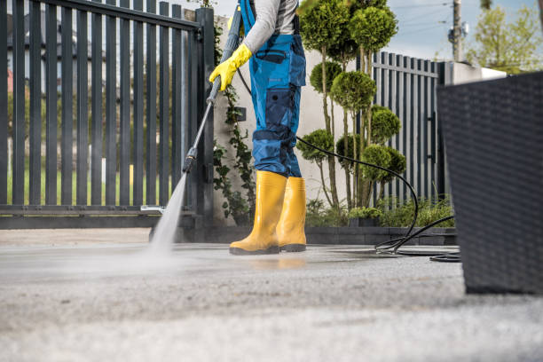 Best Driveway Pressure Washing  in Apex, NC